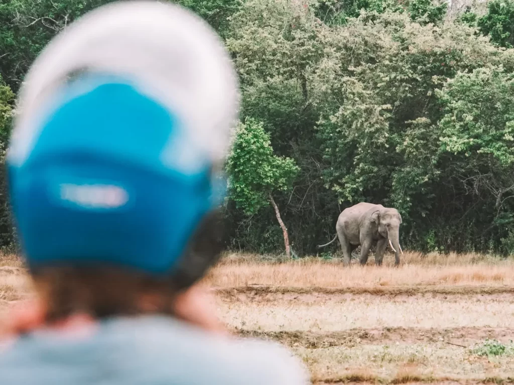 A girl in a motorbike helmet watches a wild Elephant walking in a field in the background