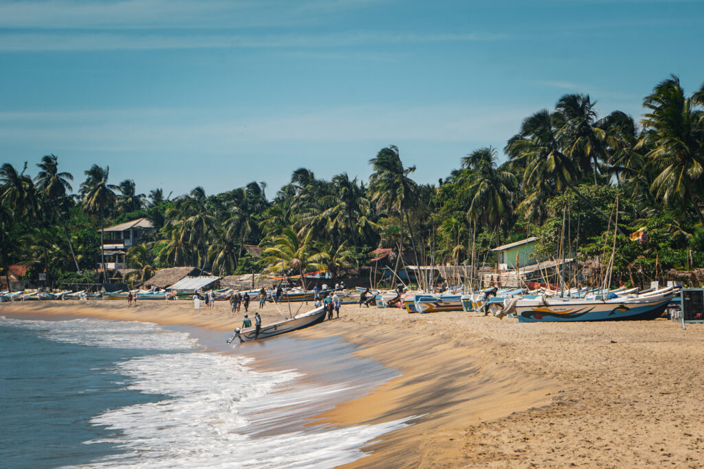 A row of boats and palm trees on Arugam Bay Beach