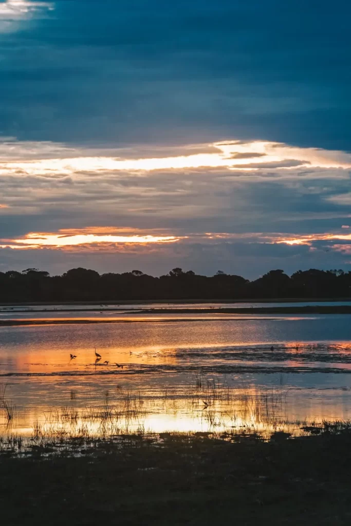 Orange and yellow reflections of sunrise on the way to Kumana National Park