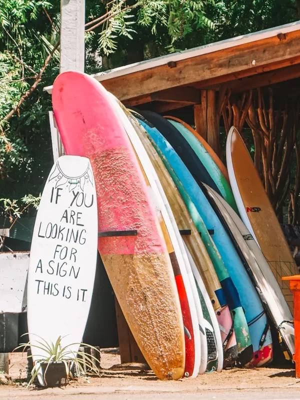 Rental surfboards on a rack under a wooden shack in a Arugam Bay