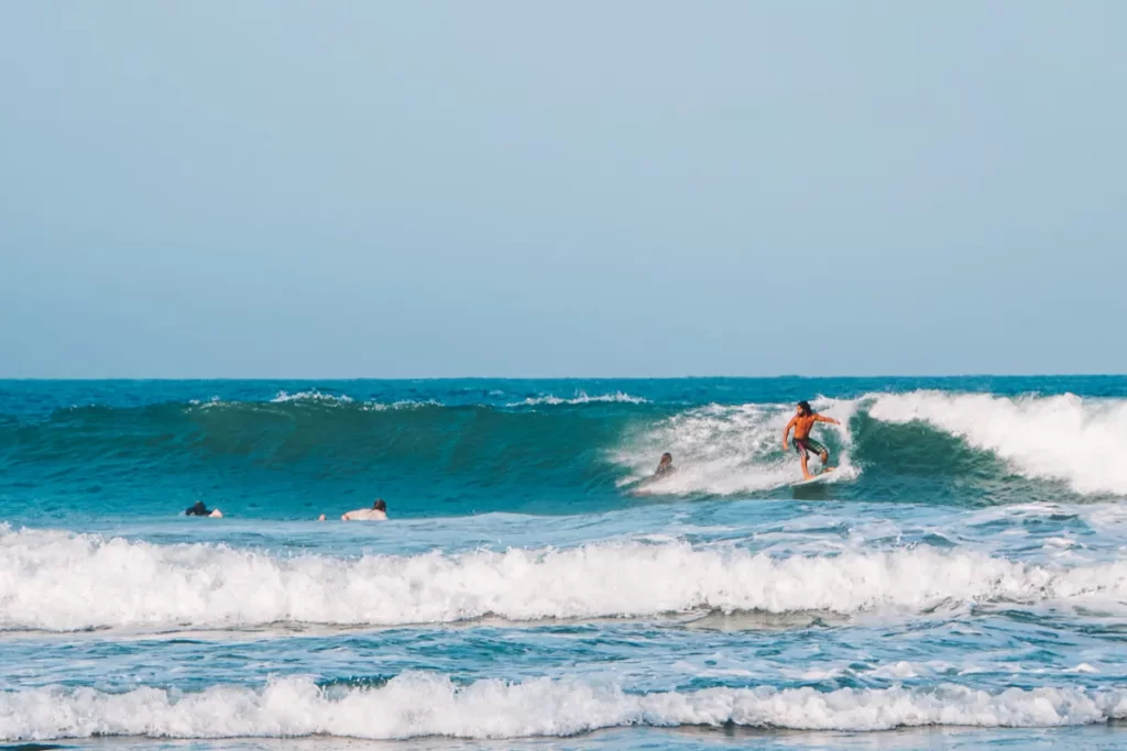 A man doing a turn on a wave at main point Arugam Bay