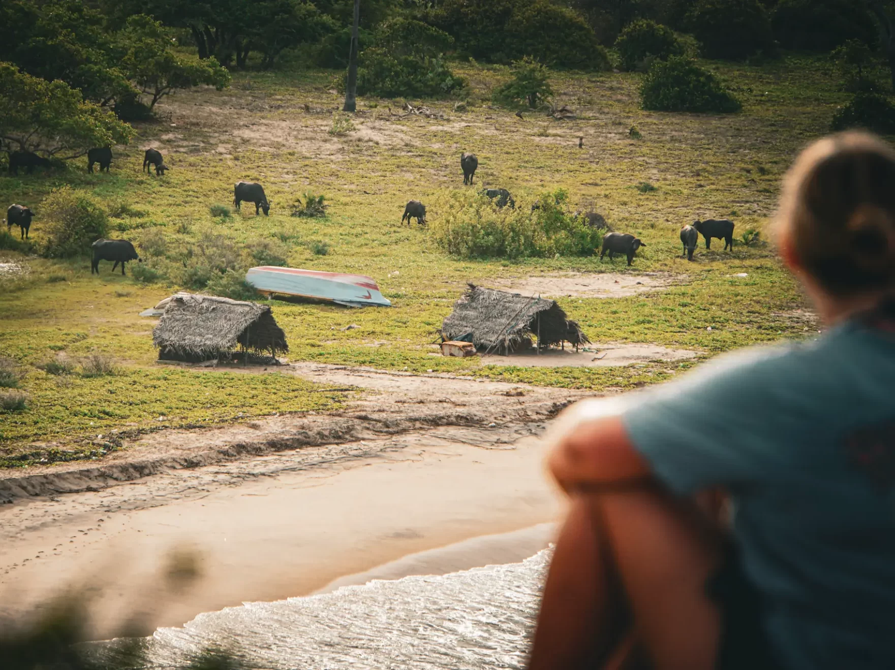 Girl looking at buffalo grazing from the top of Elephant Rock