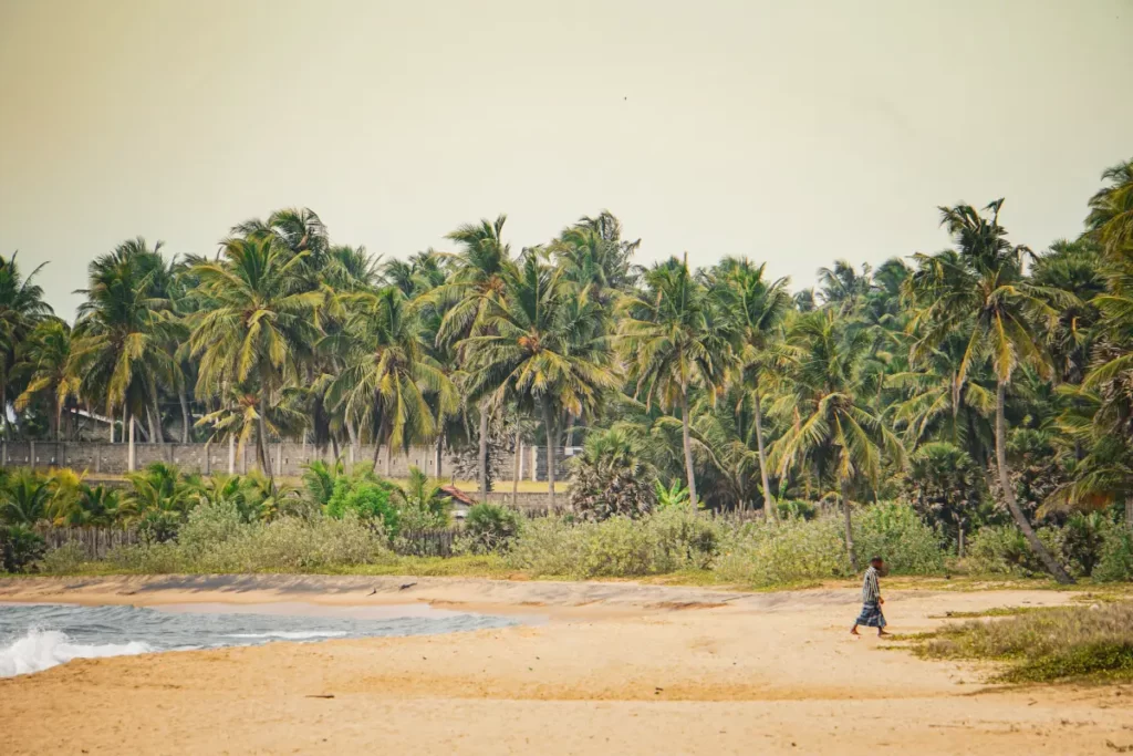 A local man is walking on Kottukal beach with palm trees in the background