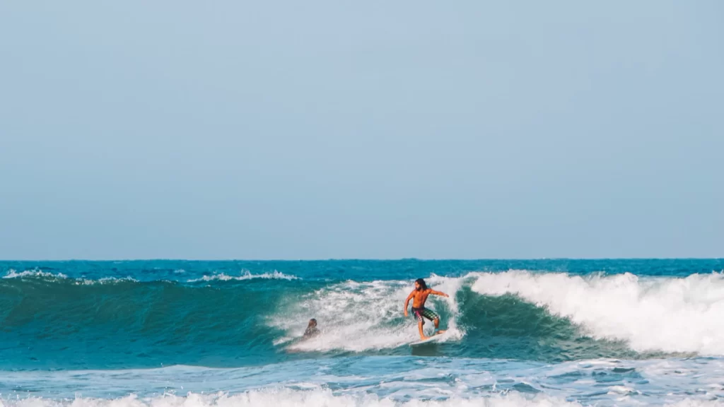 A man surfing a shoulder height wave at Main Point Arugam Bay