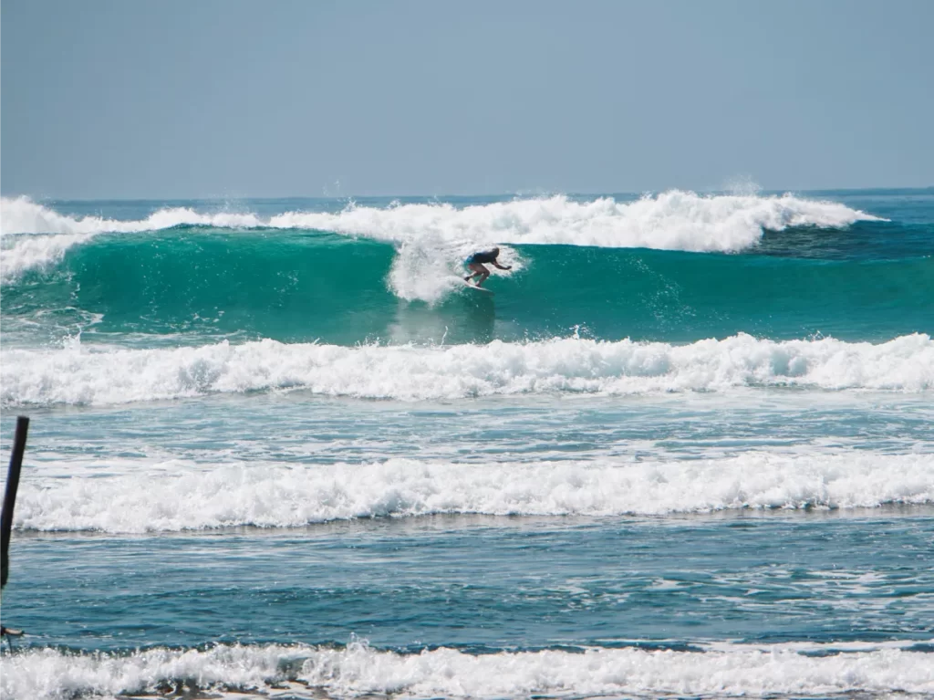 A man surfing a wave at Animals Surf Spot