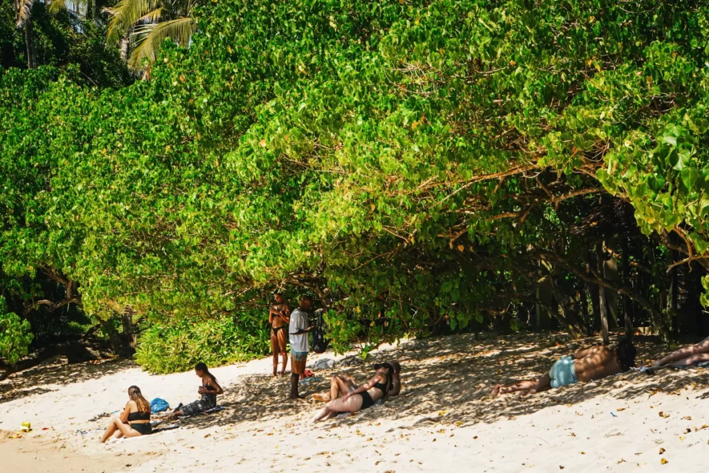 People relaxing under the trees at Secret Beach Ahangama