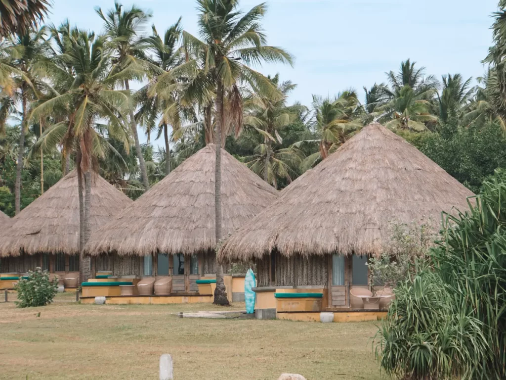 A row of eco-cabanas at Jetwing Surf, a top luxury hotel in Arugam Bay
