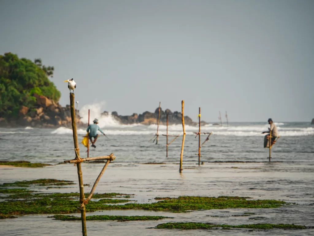 The stilt fishermen and rock pool on Ahangama Beach