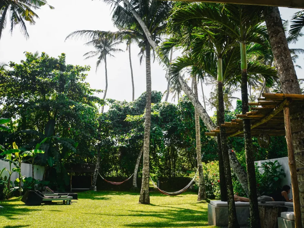 The garden with hammocks and seating areas at the Surf Lodge in Madiha