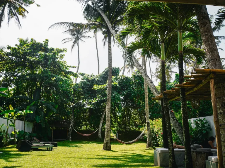 The garden at Surf Lodge, a great place to relax and hang out in Madiha