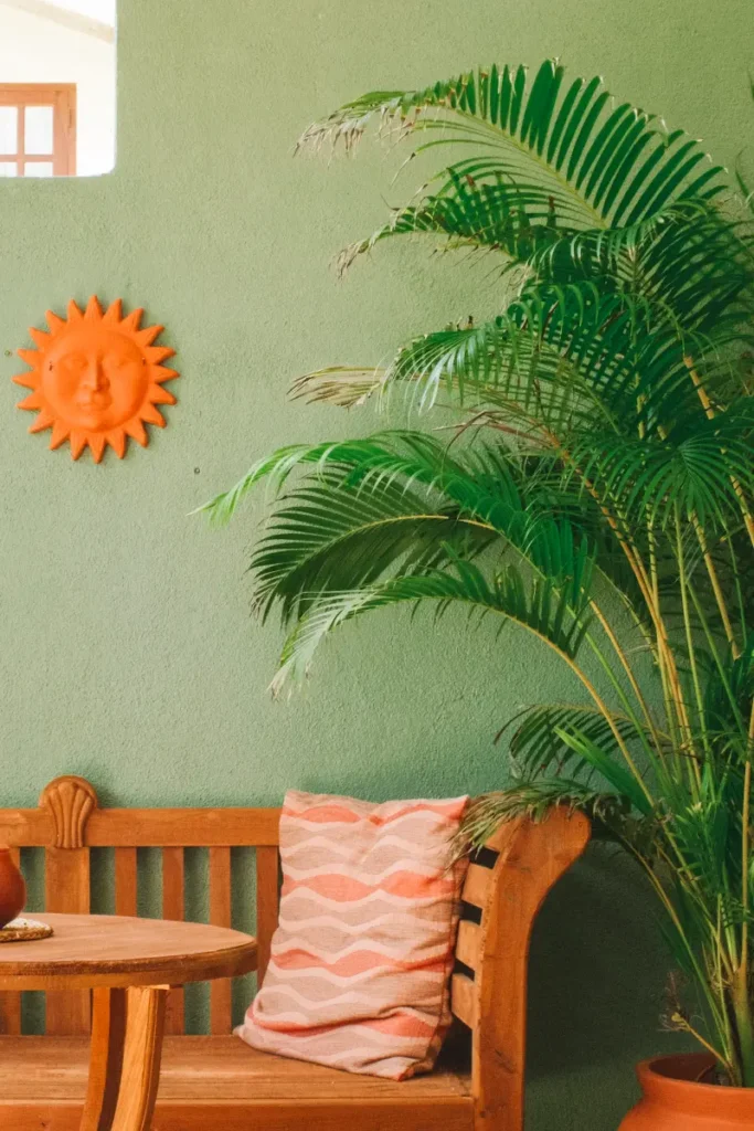 A green wall with a plant and seating area in the Surf Lodge cafe area