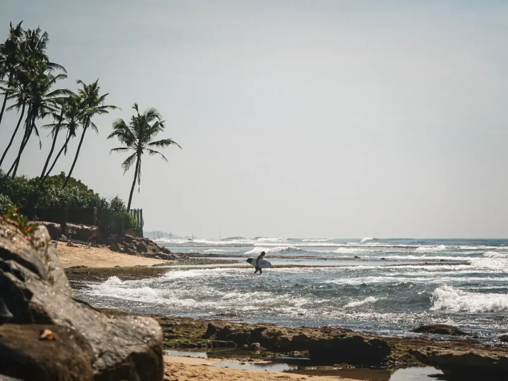 A surfer walking across the reef in Madiha, Matara