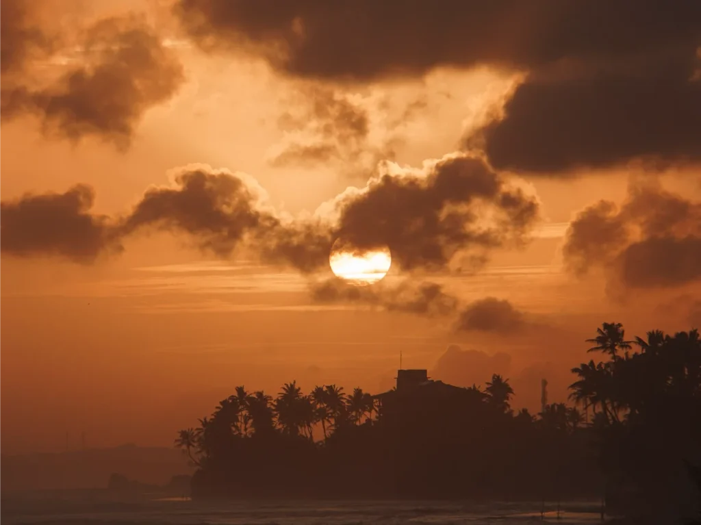 A big orange sun low on the horizon with palm tree silhouettes in Ahangama