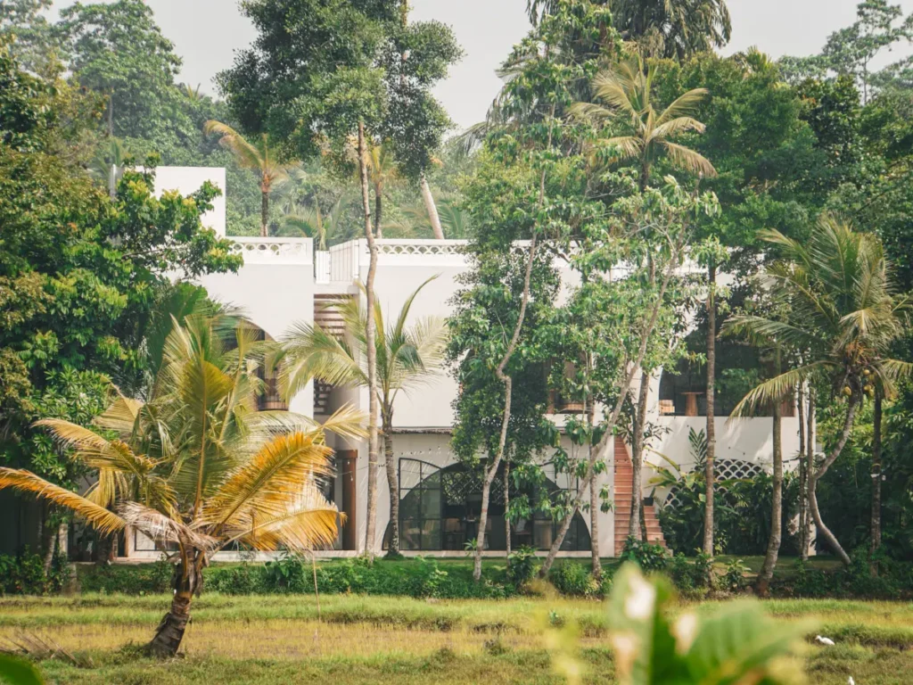 A view of Black Honey hotel looking over the rice paddies in Ahangama