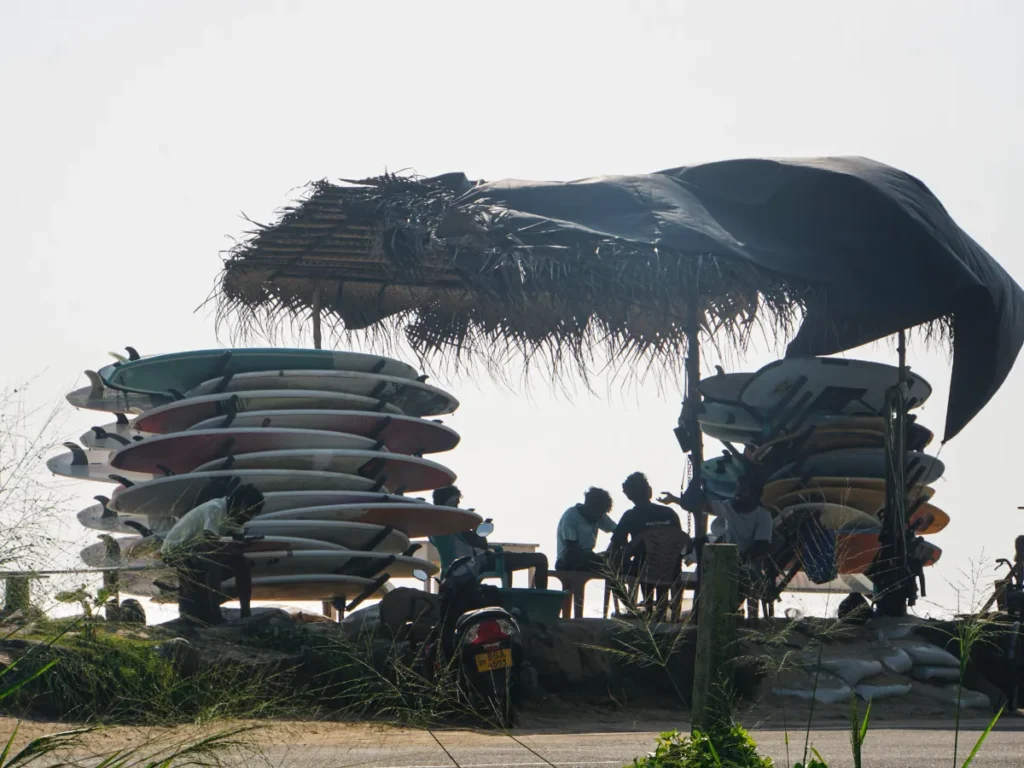 Surfboards for rent at Marshmallow Surf Shop