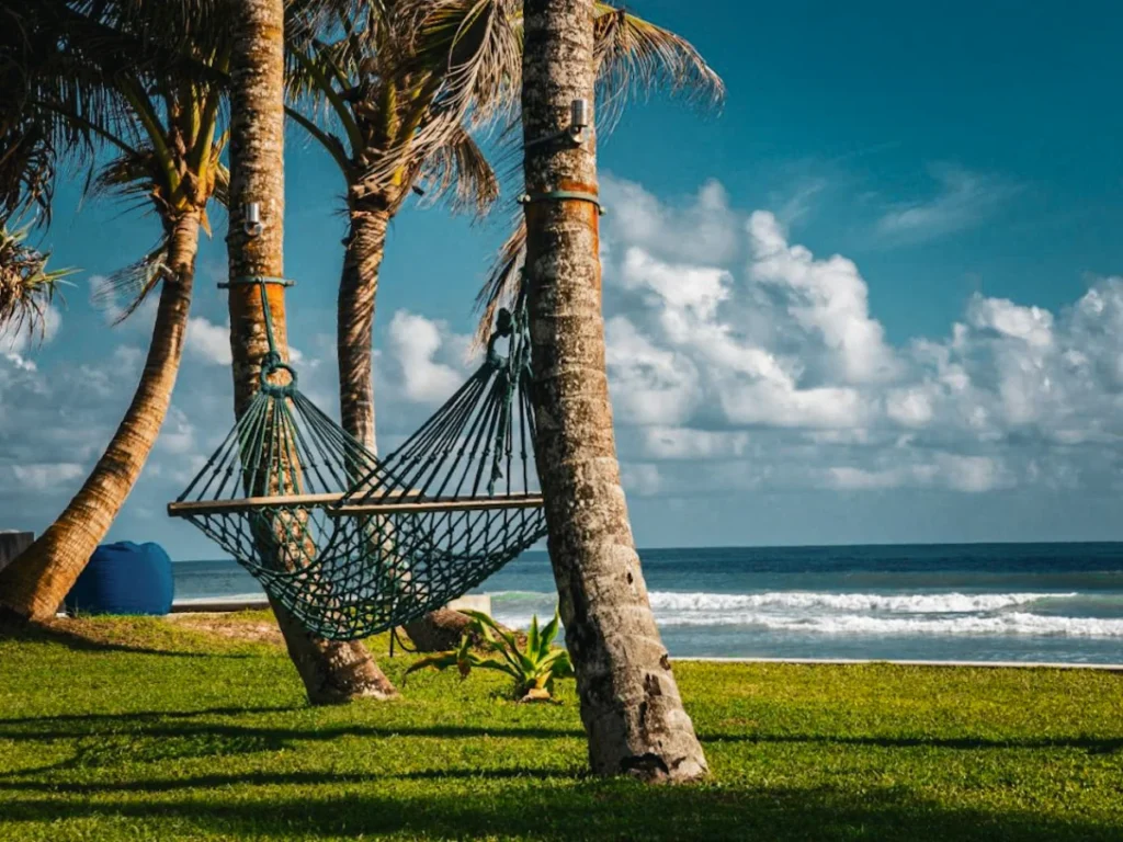 A hammock in Mosvold Villa