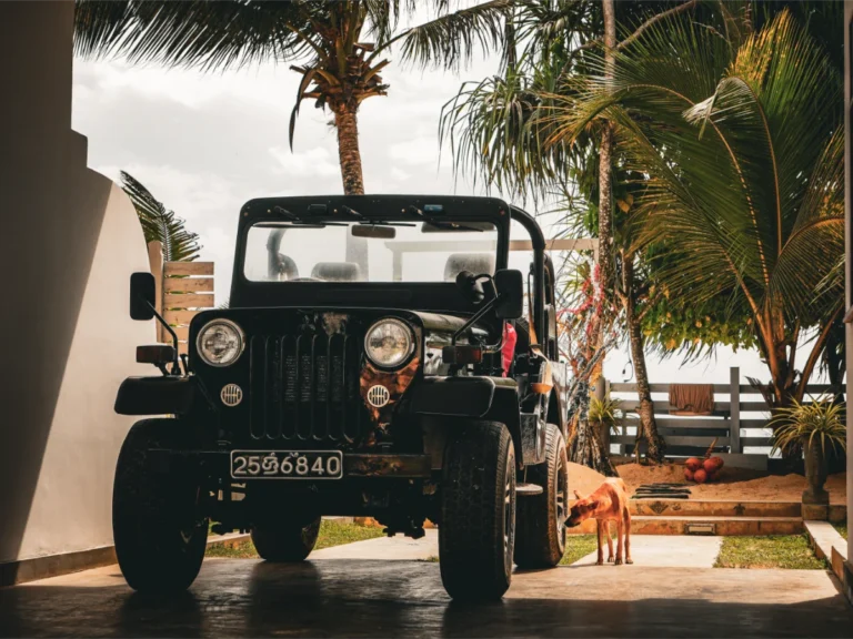 A car parked at the entrance to La Polena in Madiha