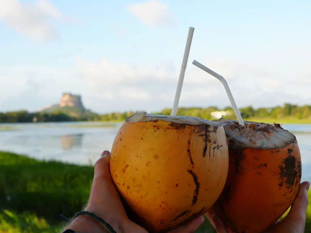 Two people drinking coconuts on the lake with a view of Lion's Rock in the background