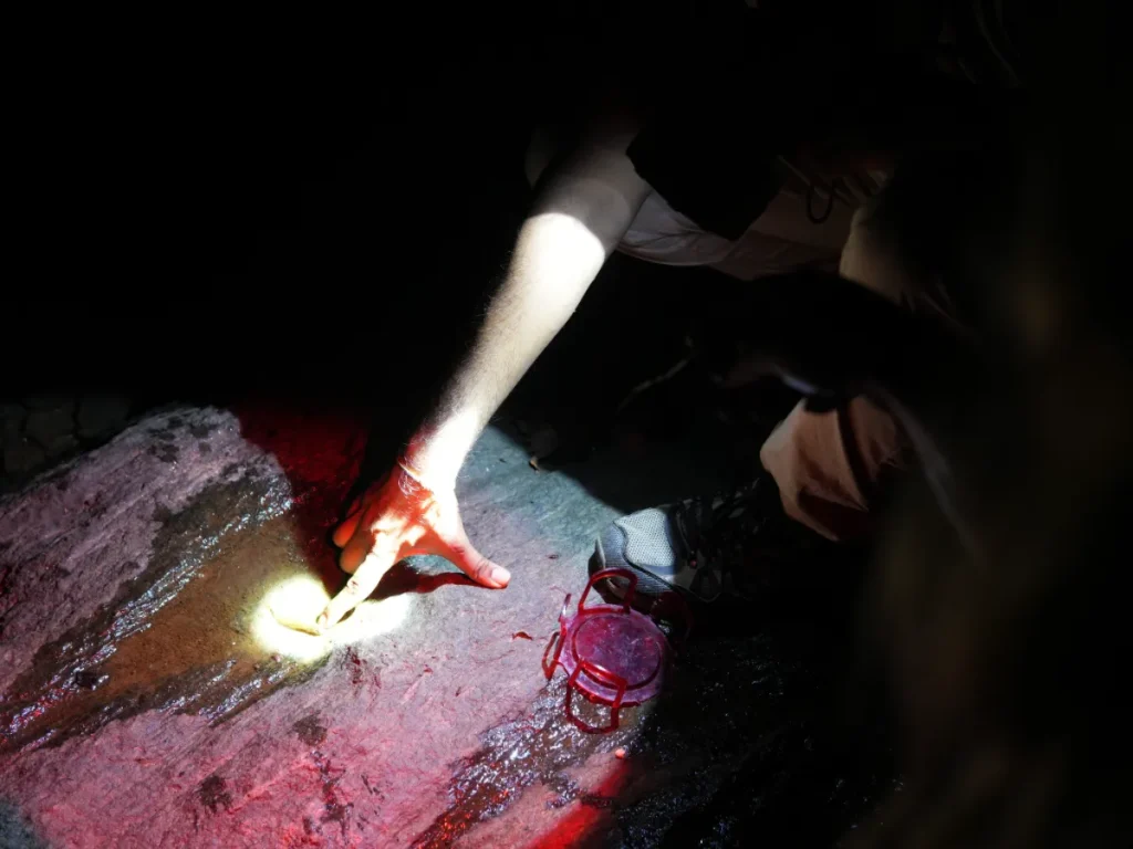 A guide points out a local bug on a night hike in Sigiriya