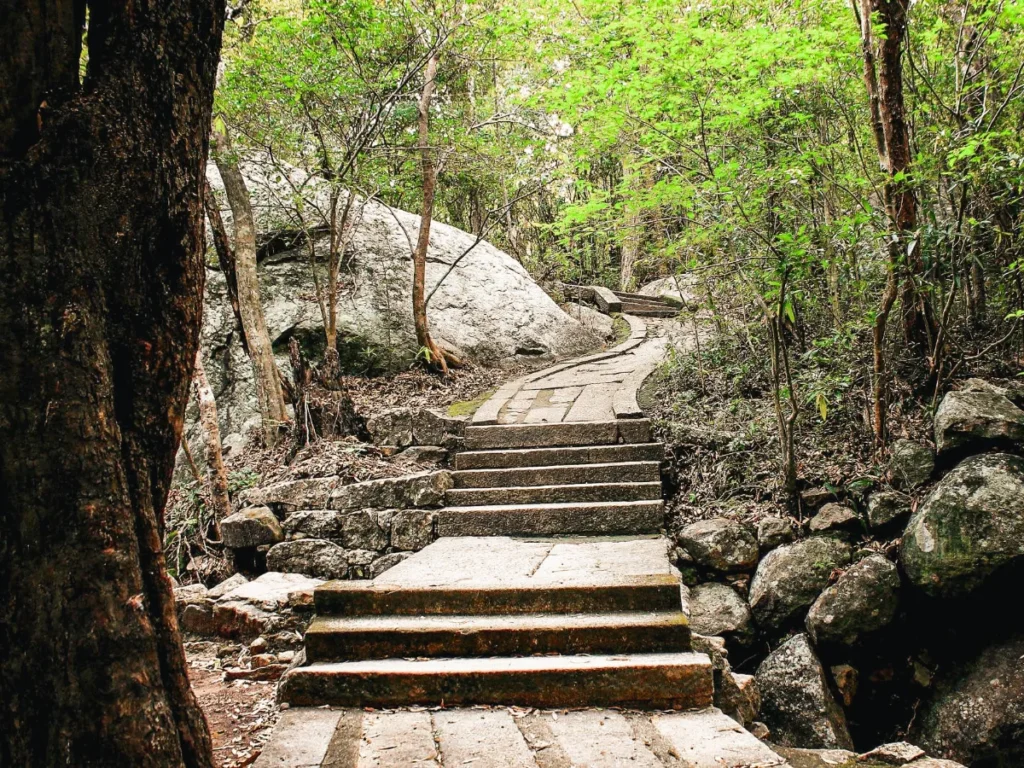 The weaving paths on the quite hike at Ritigala medicine forest