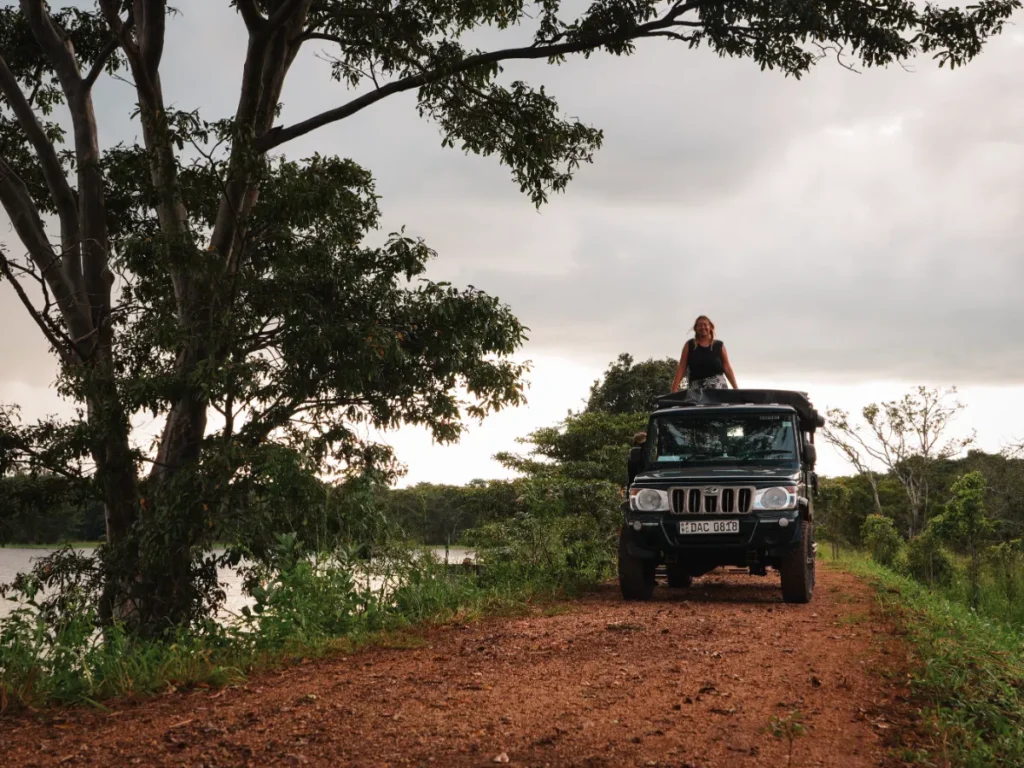 A girl standing and looking out of a jeep at Minneriya national park