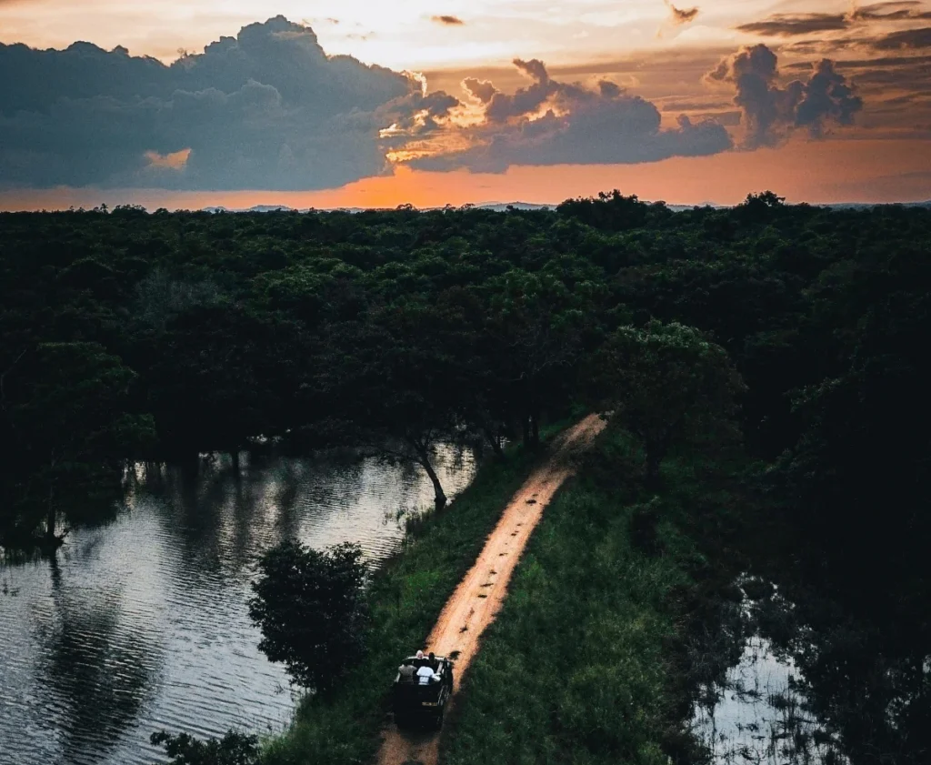 A jeep drives on a dirt road on safari in Sigiriya