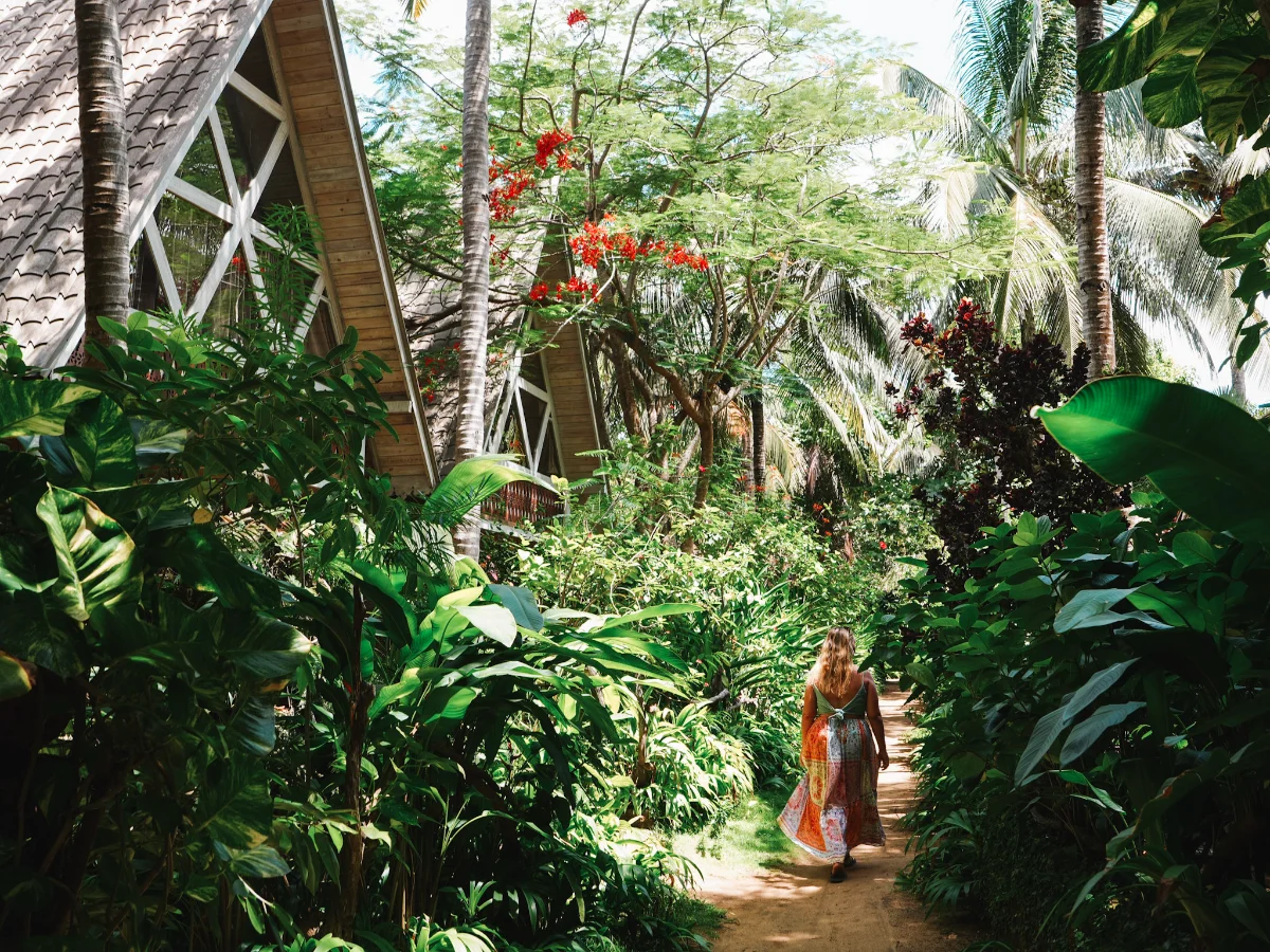 Surf N Sun, a top luxury hotel in Arugam Bay