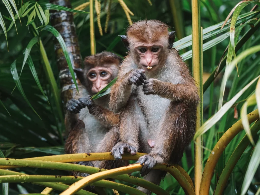 Is Hiriketiya good for non-surfers? Find out what to do