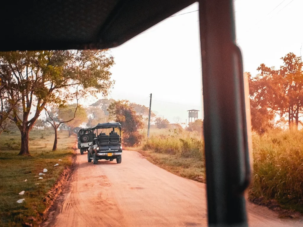 Safari Jeeps Udawalawe National Park - How to get from Hiriketiya for an elephant safari