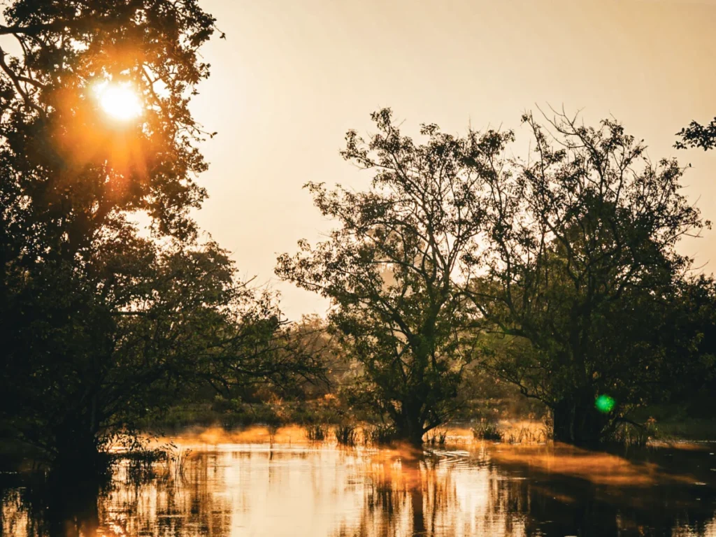 Sunrise at Udawalawe National Park, Sri Lanka - Best time for wildlife spotting near Hiriketiya