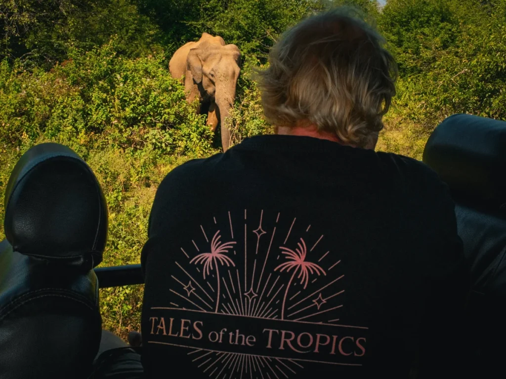 Udawalawe Safari Experience - Spotting elephants with Tales of the Tropics from Hiriketiya